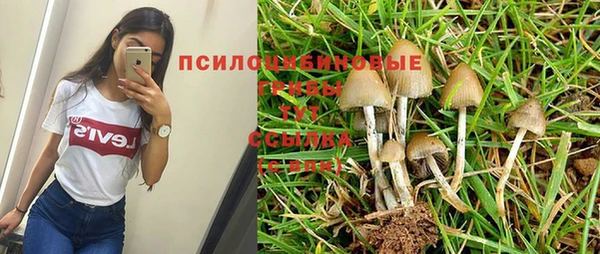 MDMA Premium VHQ Арсеньев