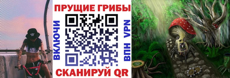 Псилоцибиновые грибы Psilocybine cubensis  где найти наркотики  Кондрово 