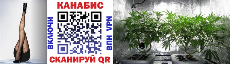 Бошки марихуана LSD WEED  ОМГ ОМГ ссылки  Кондрово 